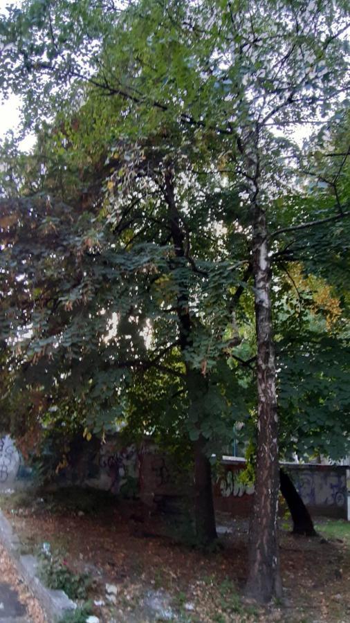 Illusion New Διαμέρισμα Σαράγεβο Εξωτερικό φωτογραφία